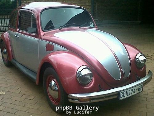My Beetle
