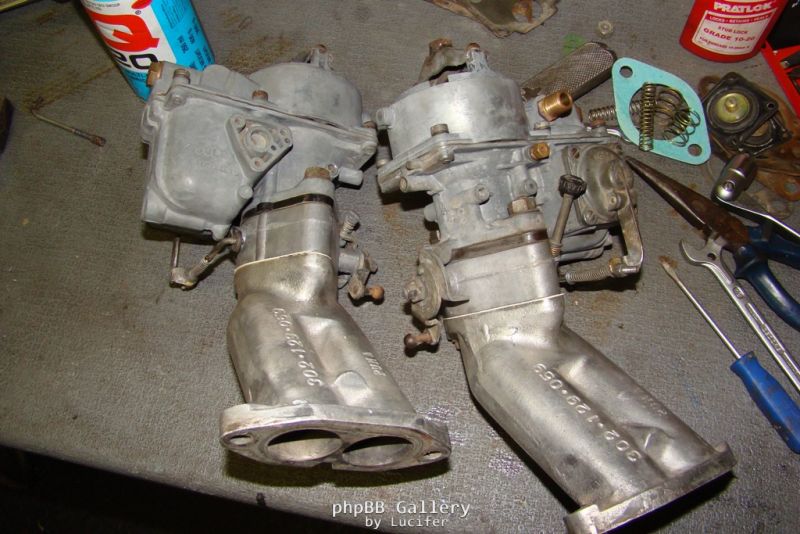 Puma restoration progress