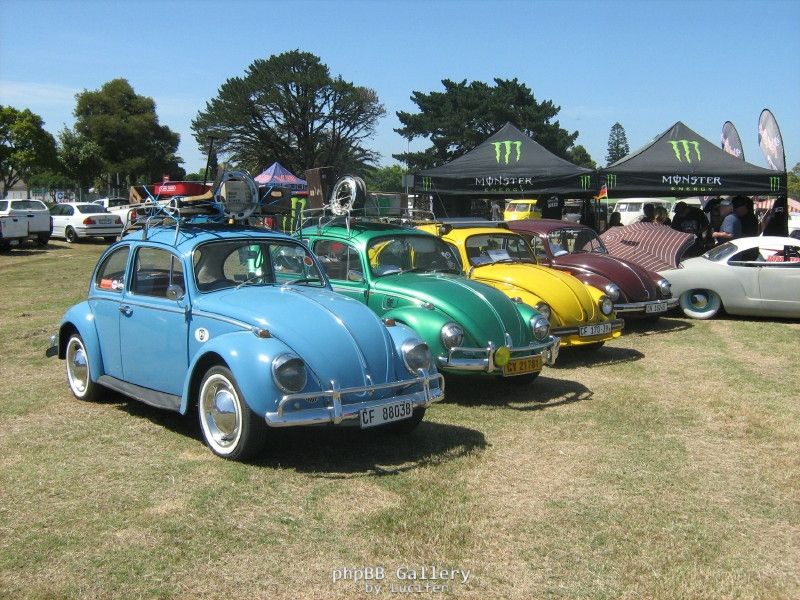 Cape show-Nov6-2011