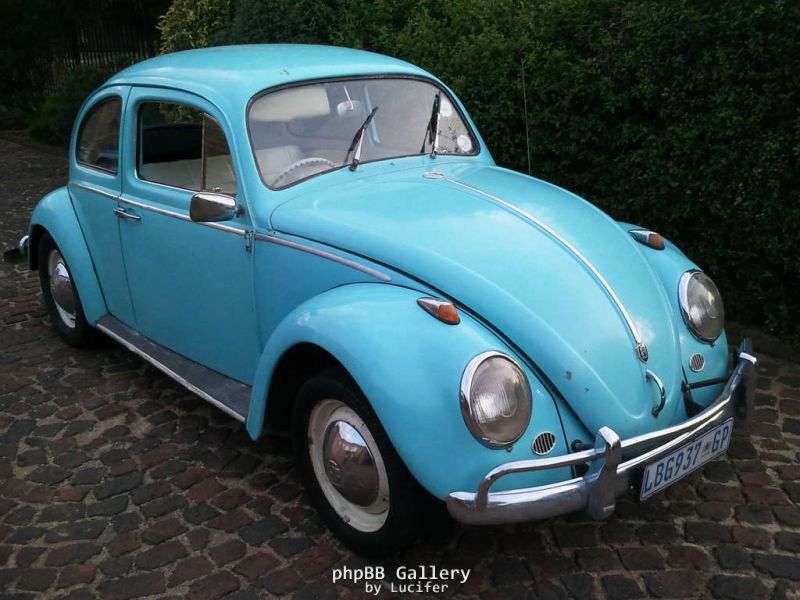 1962 Beetle the day I went to see her!  (Love at first sight! LOL)