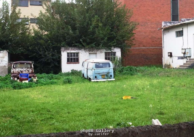 Spotted between the weeds!