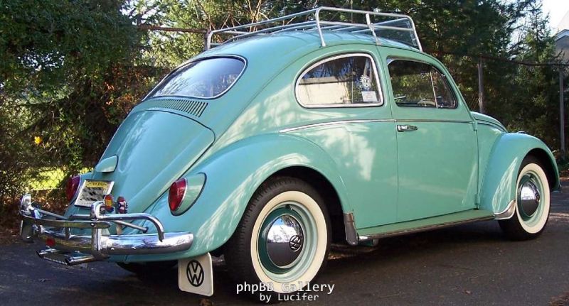 Turquoise Bug