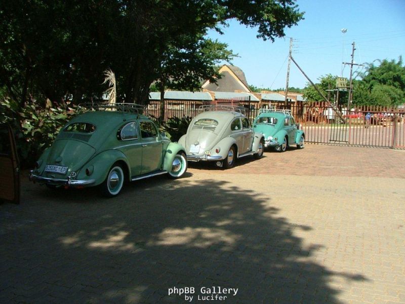 DSCF7694