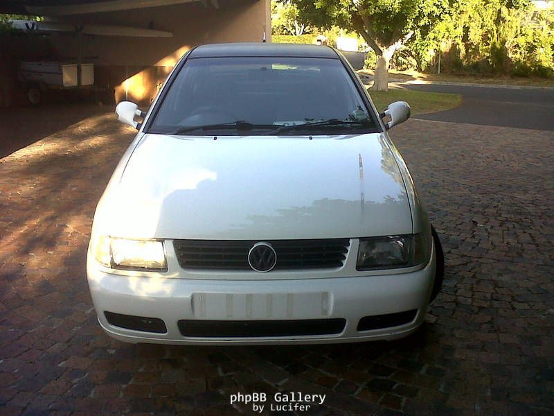 My Polo