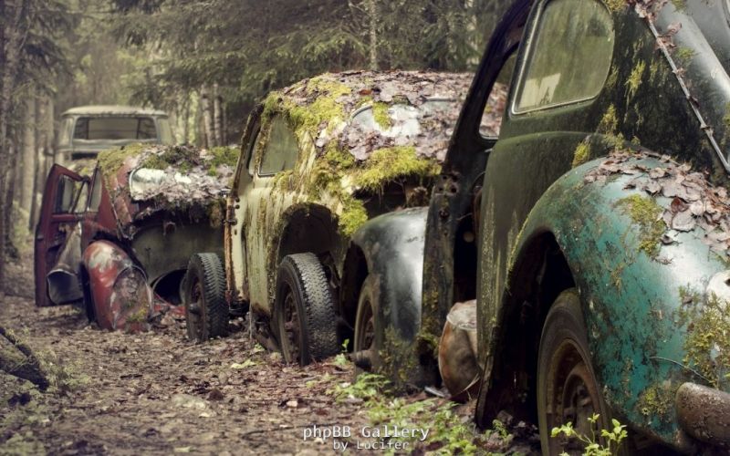Moss Awsome