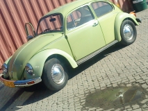 BEETLE 997 008