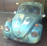 beetle front