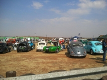 Cars in the Park