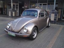 My 74 bug