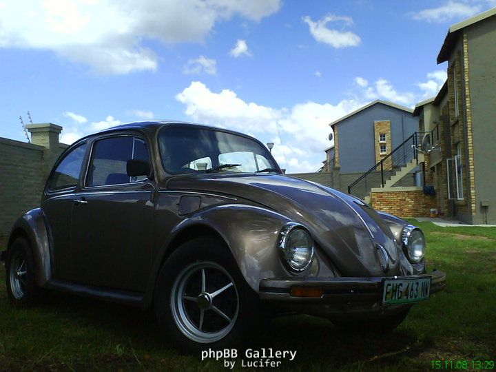 My 74 bug