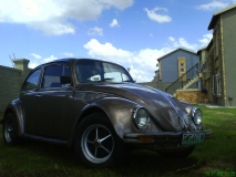 My 74 bug
