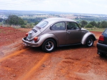 My 74 bug