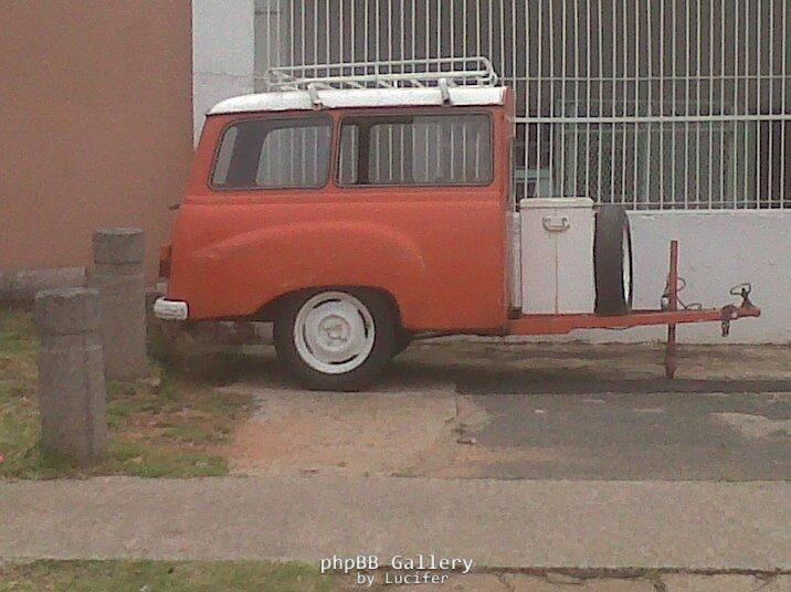 Spotted