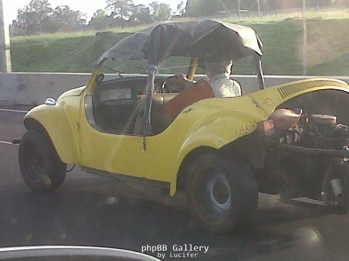 Spotted