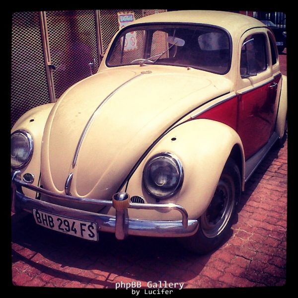 59bug