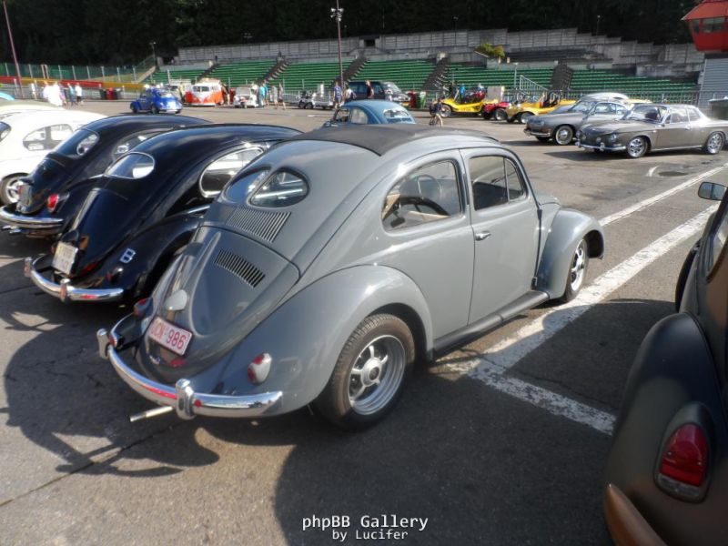 Bug Show 2013 z