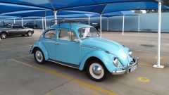 Drive your beetle to work day 2015!