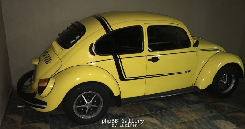Beetle2