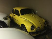 Beetle5