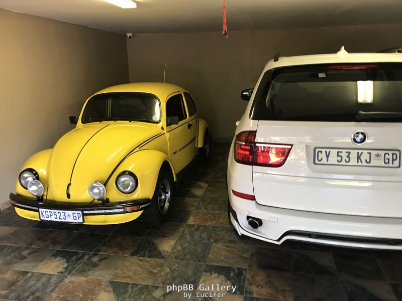 Beetle6