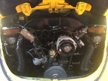 Beetle8