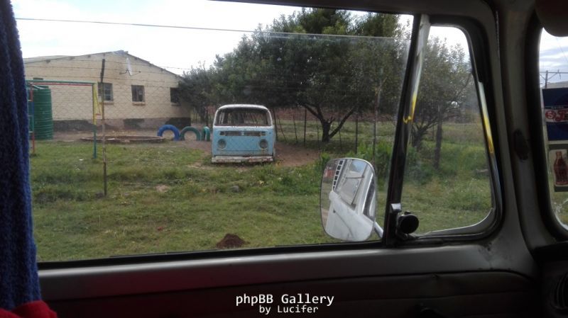 spotted 1