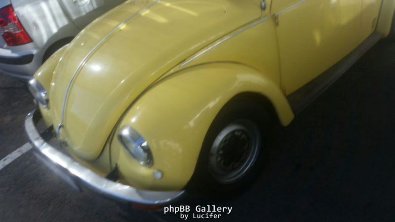 78 VW Beetle Before (3)