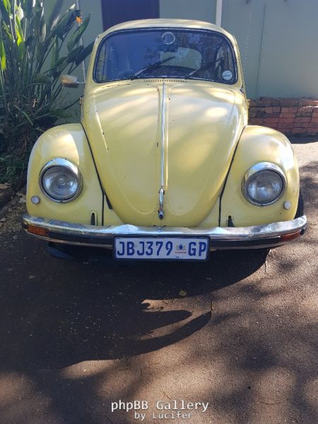 78 VW Beetle Before (10)