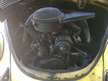 78 VW Beetle Before (12)