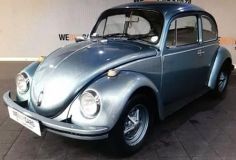beetle0001