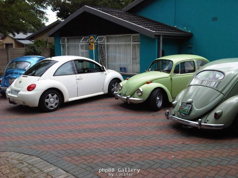 IMG00255-20110108-1252